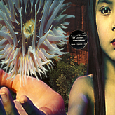 The Future Sound Of London ‎– Lifeforms