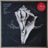Robert Plant And The Sensational Space Shifters ‎– Lullaby And... The Ceaseless Roar