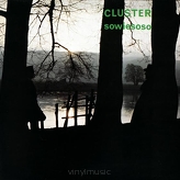 Cluster ‎– Sowiesoso 